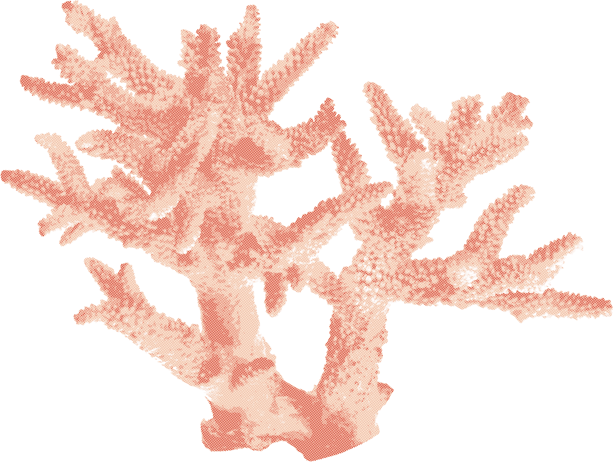 Coral decoration