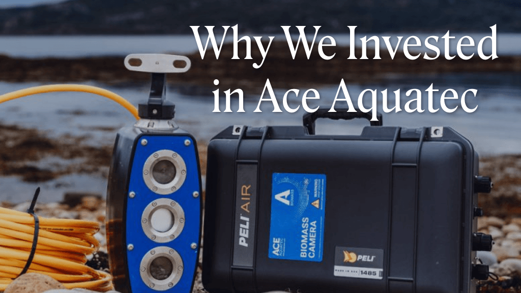 media header (3).png