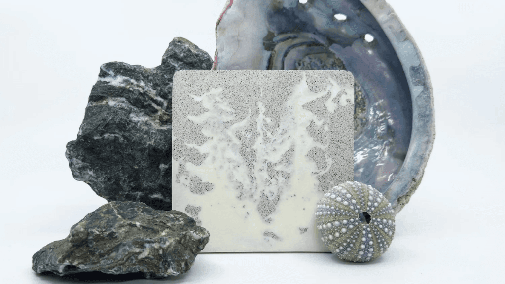 media header (14).png